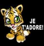 Pr mes amis