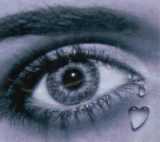 amour